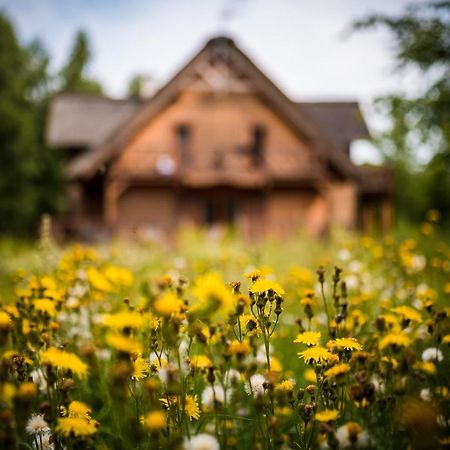 Brzozowy Gaj Bed & Breakfast Glowczyce ภายนอก รูปภาพ