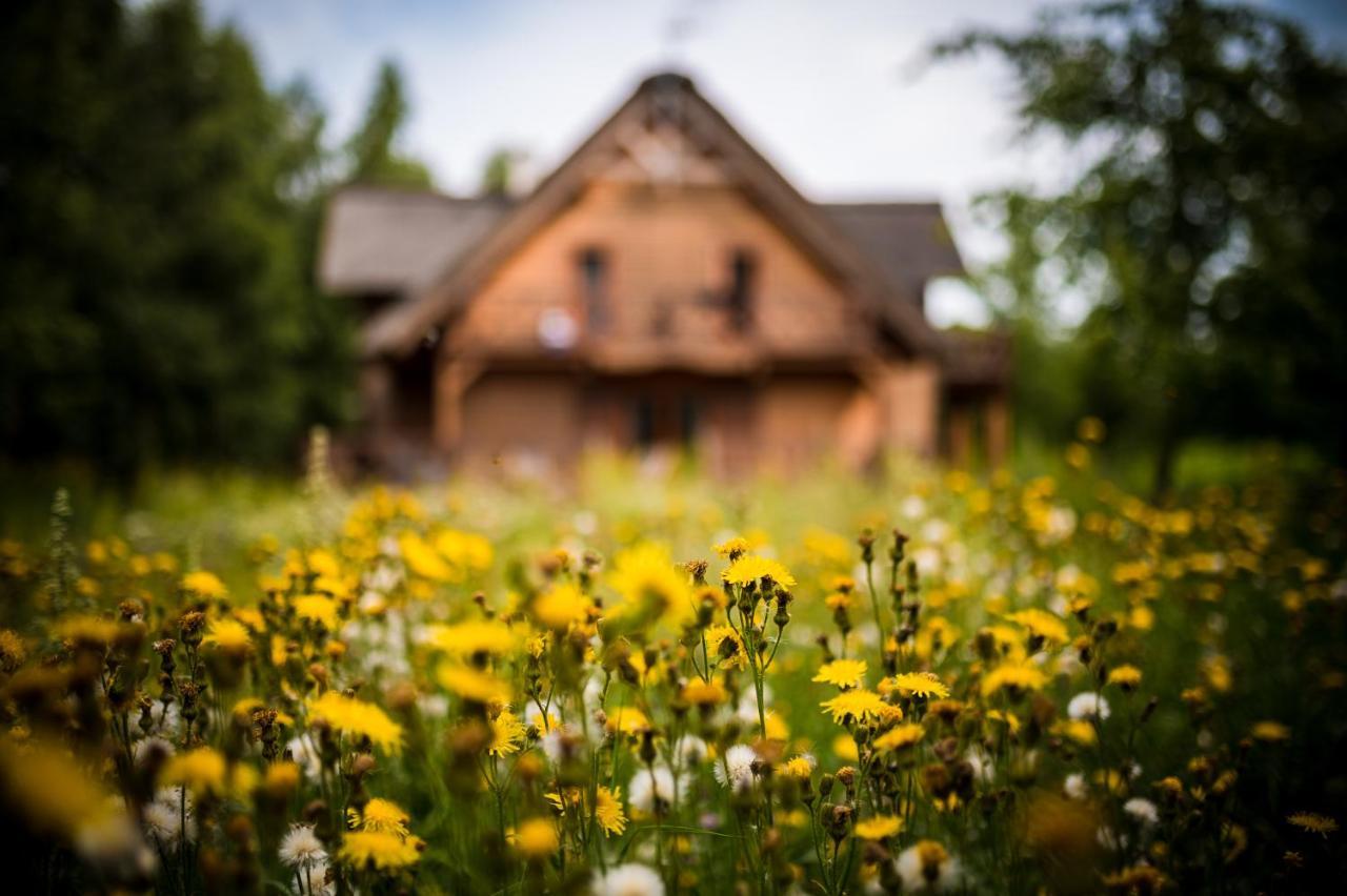 Brzozowy Gaj Bed & Breakfast Glowczyce ภายนอก รูปภาพ