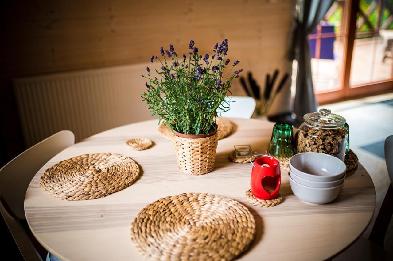 Brzozowy Gaj Bed & Breakfast Glowczyce ภายนอก รูปภาพ