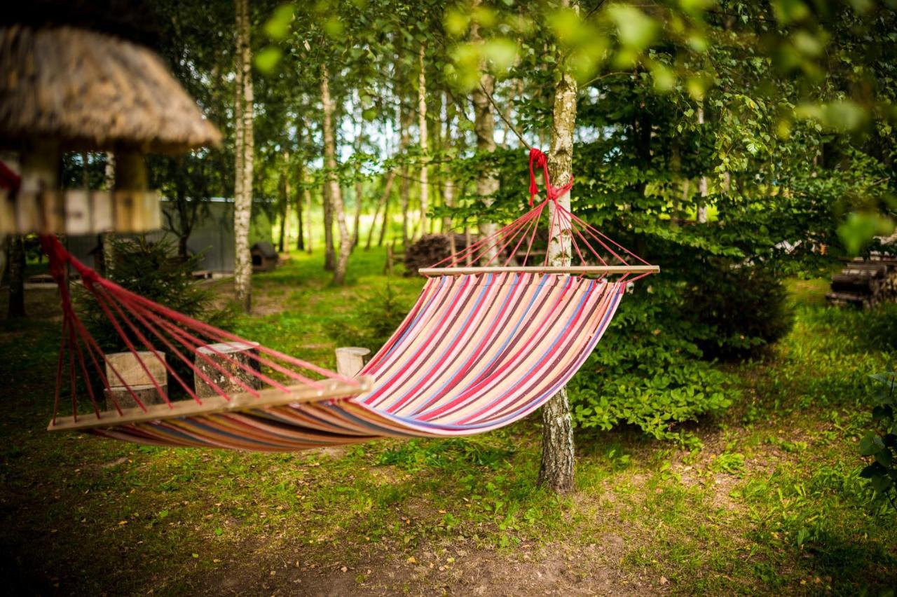 Brzozowy Gaj Bed & Breakfast Glowczyce ภายนอก รูปภาพ