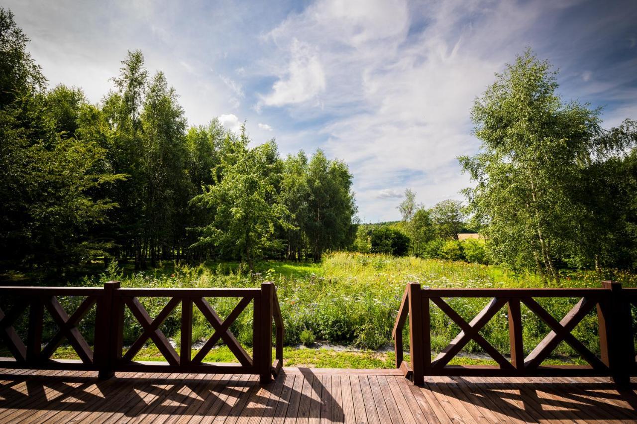 Brzozowy Gaj Bed & Breakfast Glowczyce ภายนอก รูปภาพ