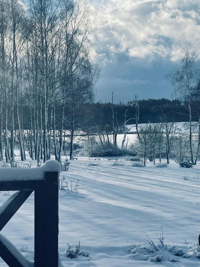 Brzozowy Gaj Bed & Breakfast Glowczyce ภายนอก รูปภาพ