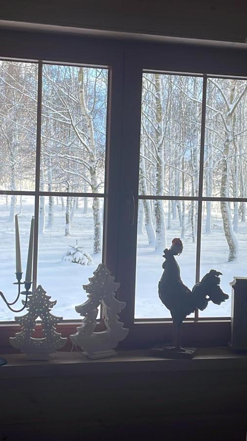 Brzozowy Gaj Bed & Breakfast Glowczyce ภายนอก รูปภาพ